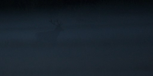 loadScreen